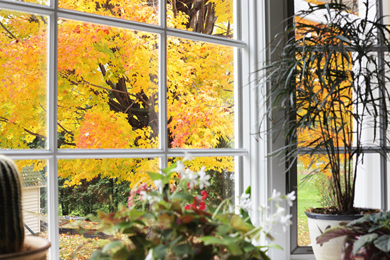 kitchen window looking out to a tree changing to fall colors.