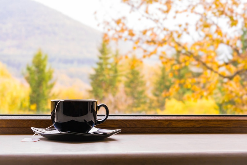 Why Do I Need a Humidifier in the Fall? A cup of tea in front of a window with autumn view.