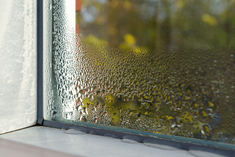 Image of a window with condensation on it. Why You Need Whole-House Humidity Control.