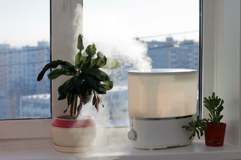 5 Ways to Improve Your Indoor Air Quality. Image shows plant and humidifier on windowsill.
