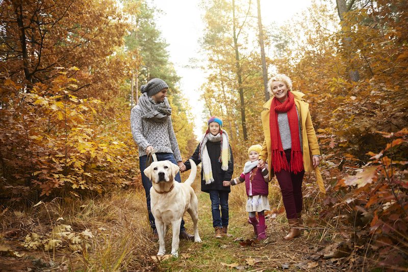 Parents and kids walking dog in forest